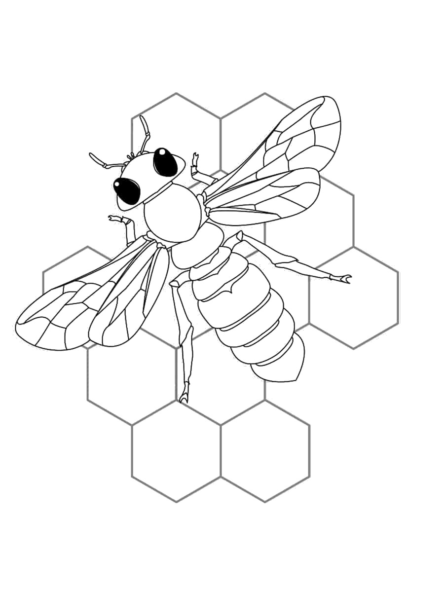 dessin d'abeille