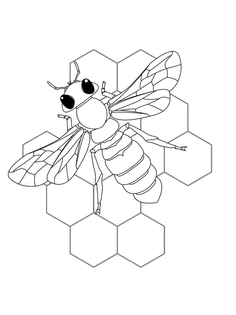 Coloriage abeille : 50 dessins à imprimer