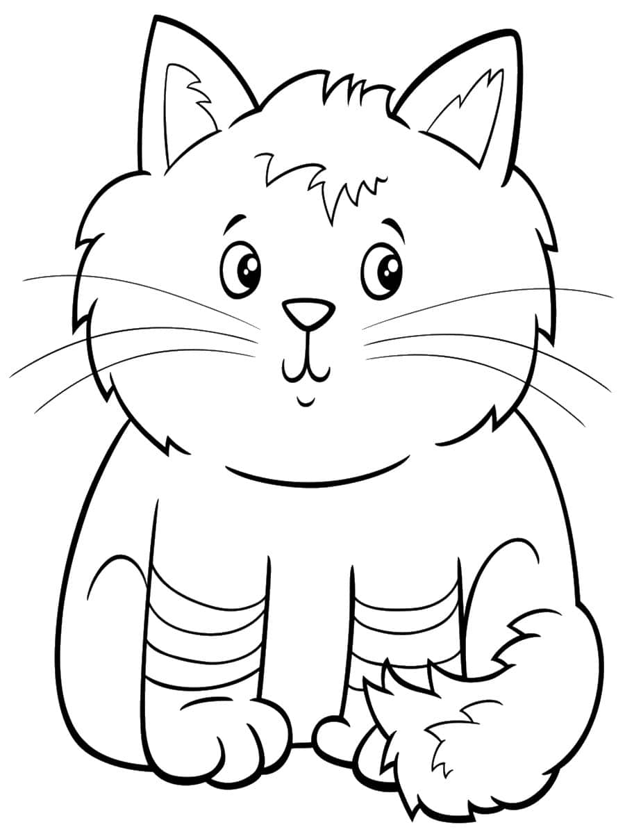 coloriage gros chat