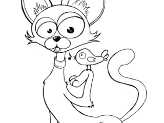 coloriage chat