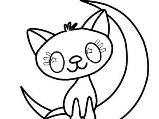 coloriage chat lune