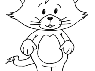 coloriage chat