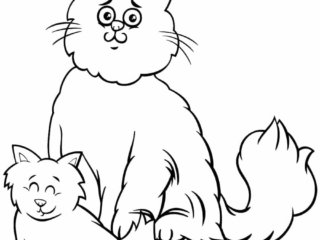 coloriages chat