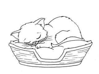 coloriage chat endormi