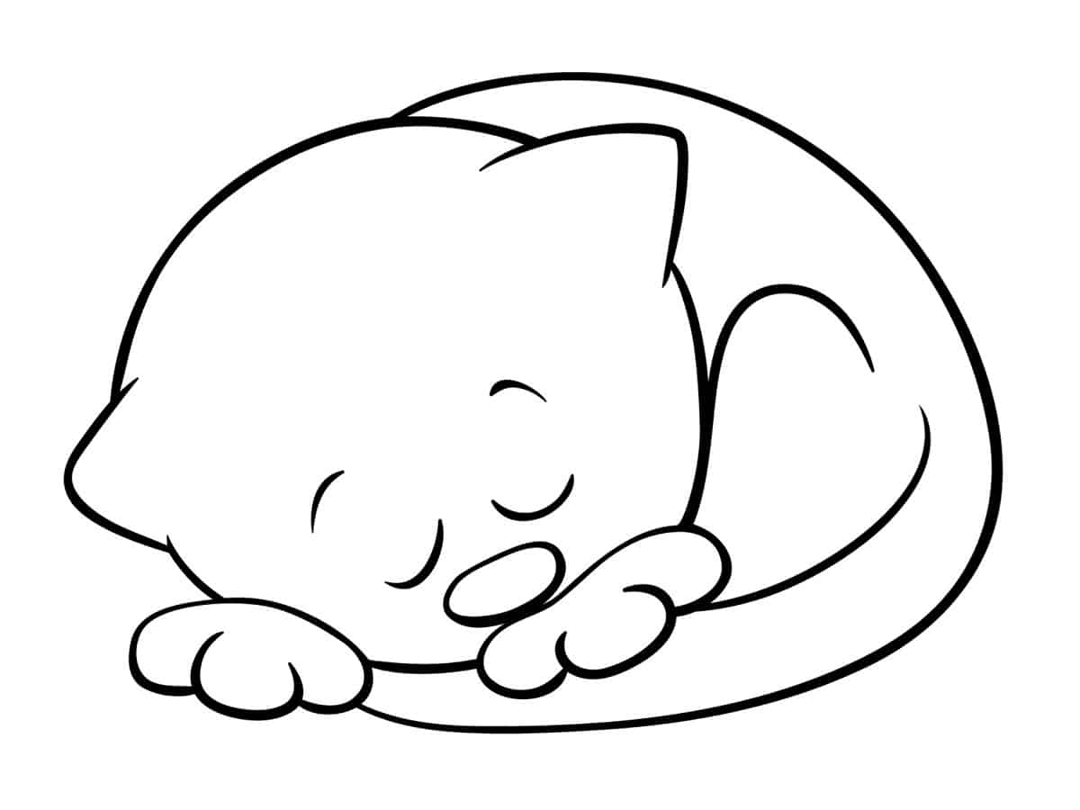 coloriage chat endormi