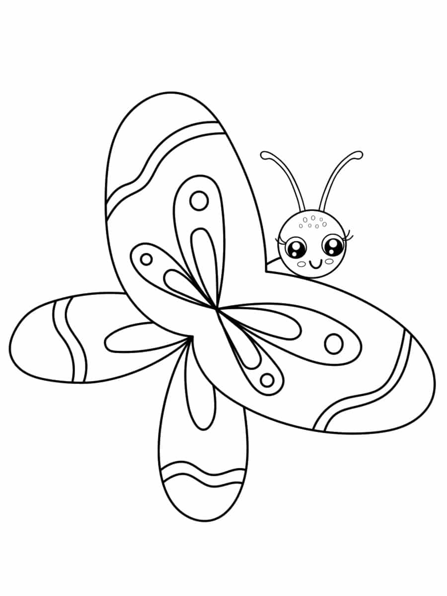 dessin papillon