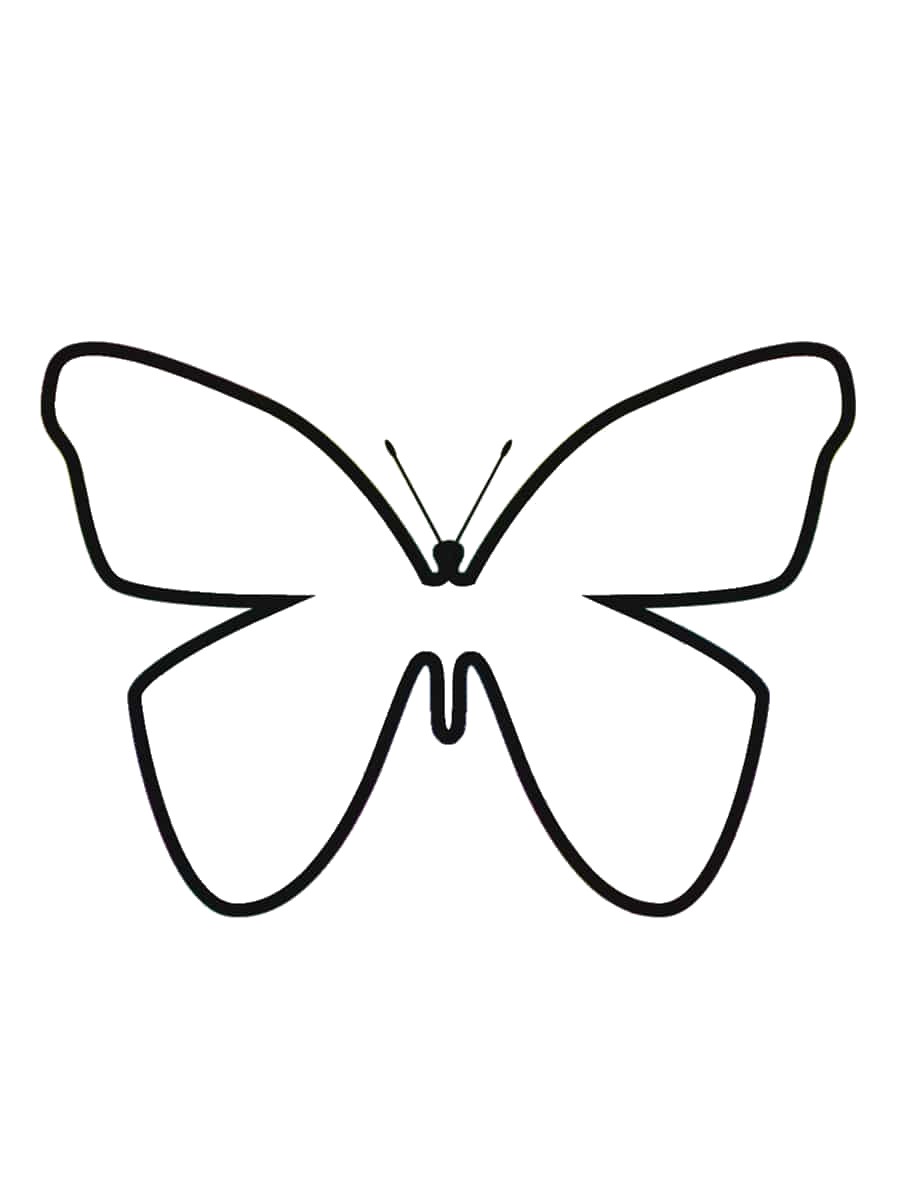 silhouette papillon