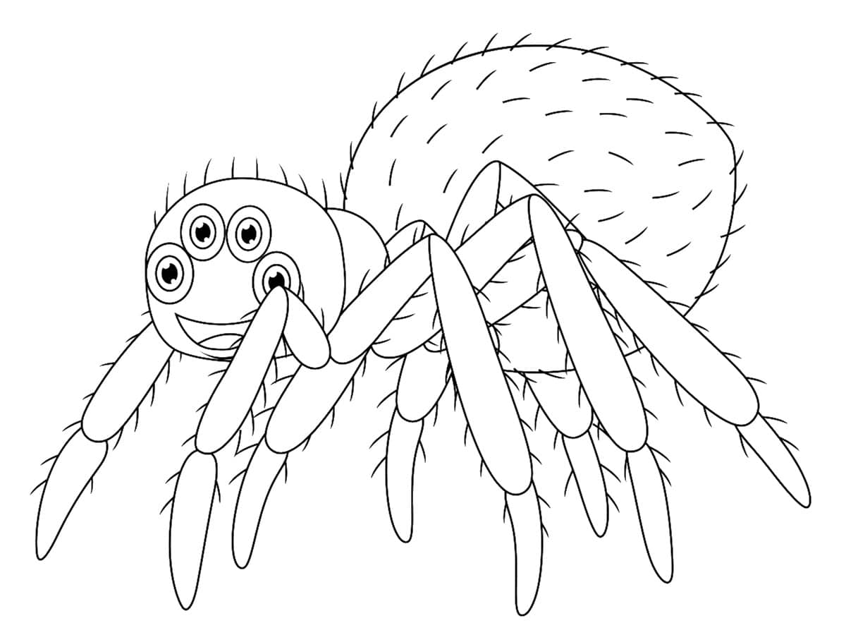 dessin d'araignée