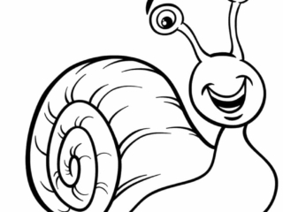 dessin escargot (2) coloriage escargot