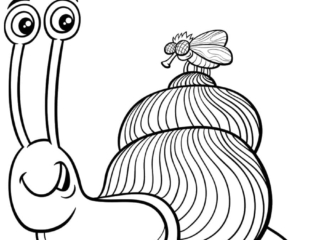 dessin escargot (3) coloriage escargot