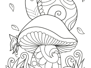 dessin escargot (4) coloriage champignon et escargot