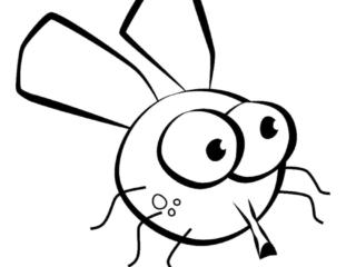 coloriage mouche