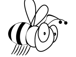 coloriage abeille