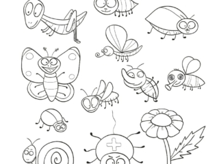 dessin insectes