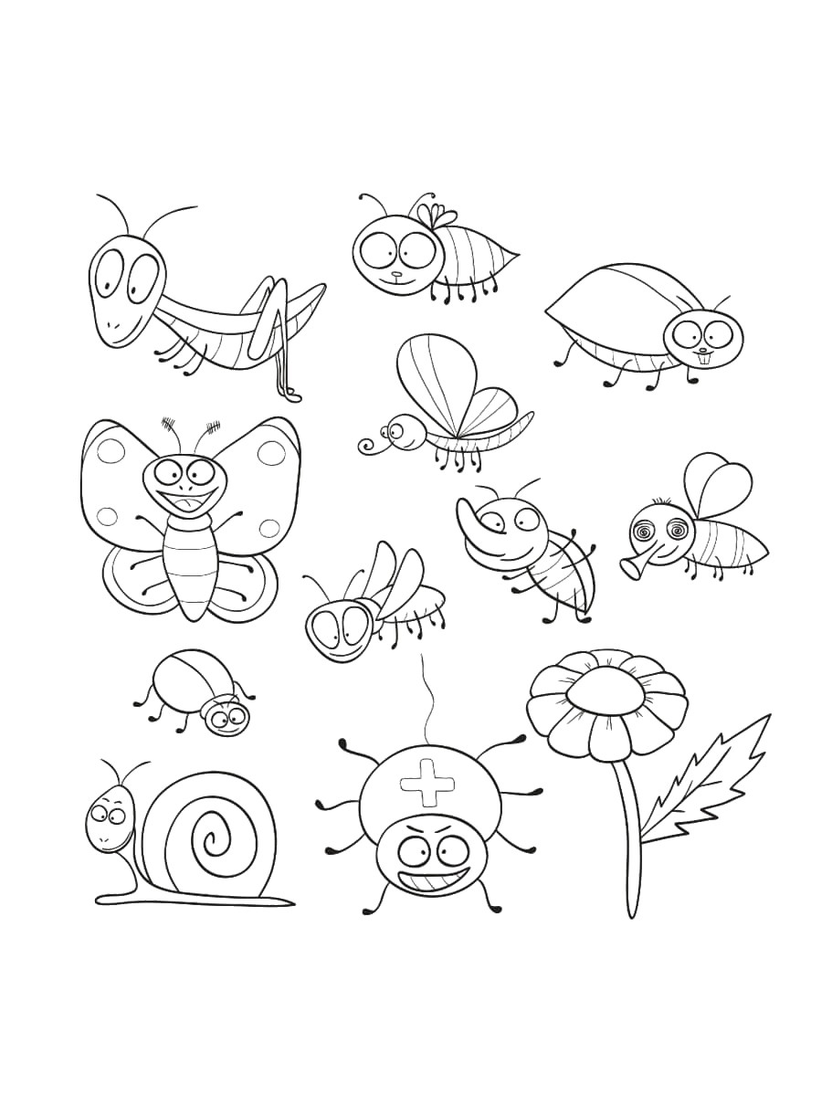 dessin insectes