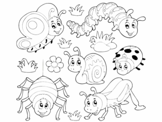 coloriage insectes