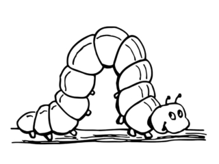 coloriage chenille