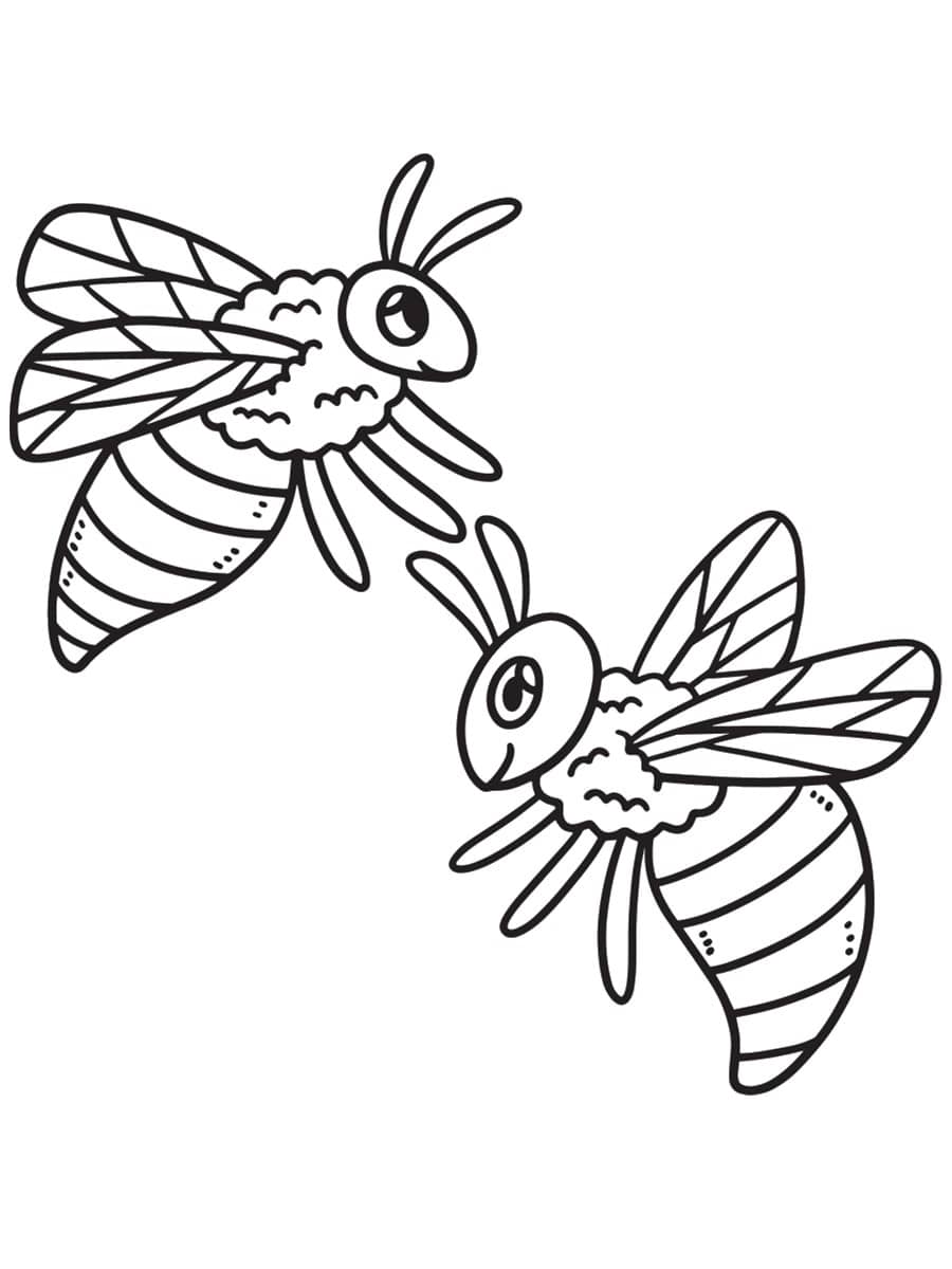coloriages abeille