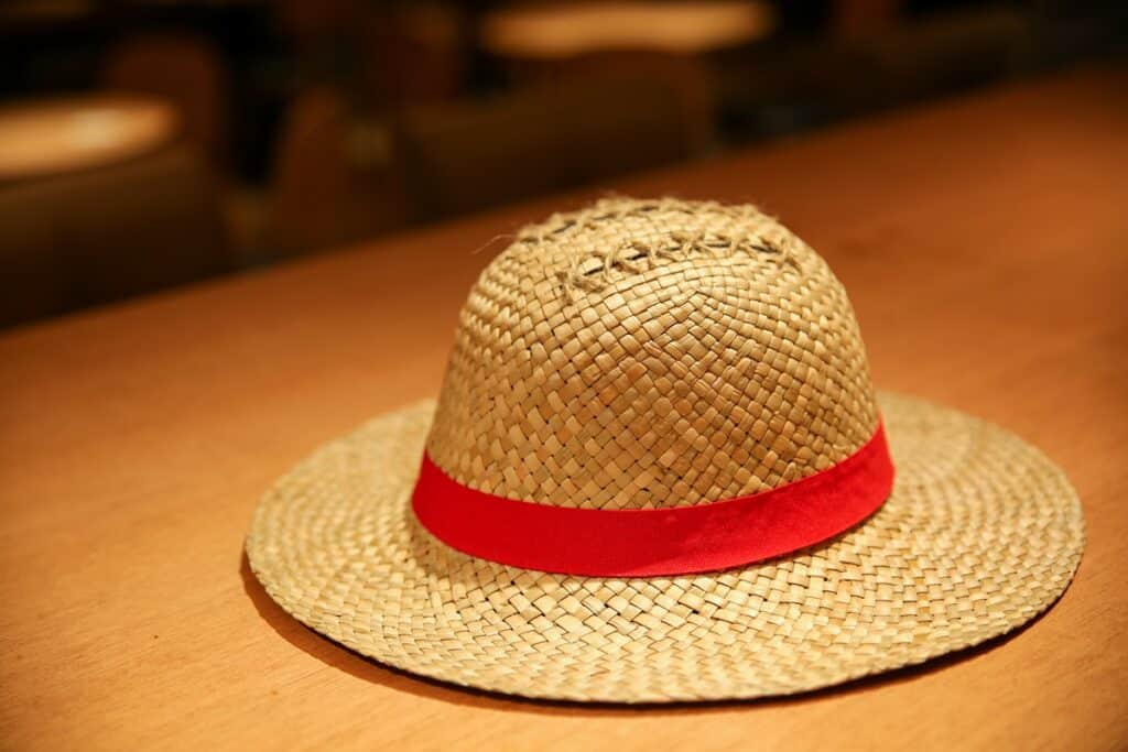 chapeau de Luffy