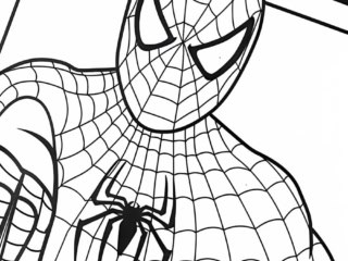 illustration de Spiderman en noir et blanc