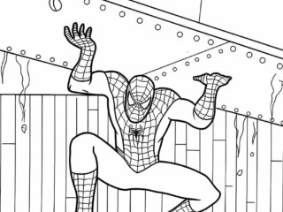 spiderman à colorier