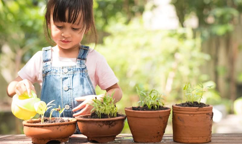 jardinage tout petit