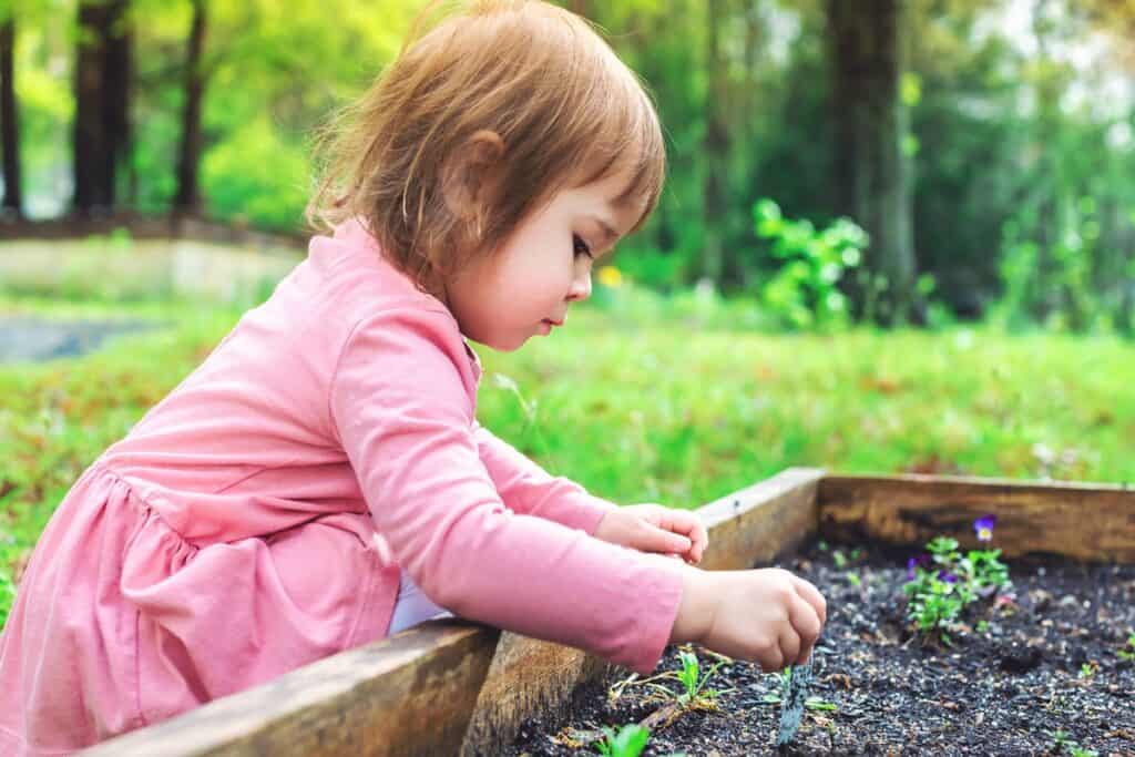 tout petit potager