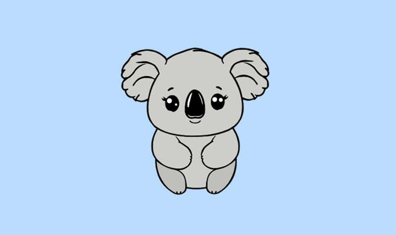coloriages koala